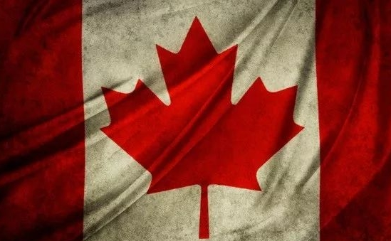 华人控诉移民加拿大下场悲催：网友炸了